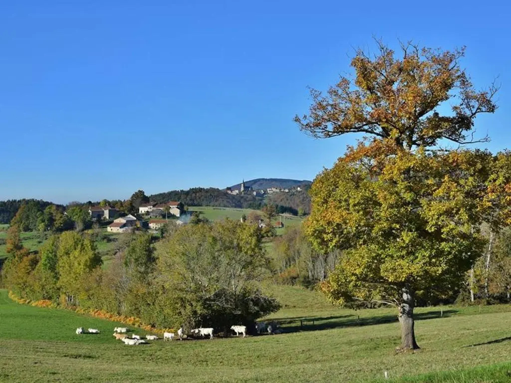 Gîte pour 14 pers à La Chabanne avec WiFi et animaux admis - FR-1-489-340