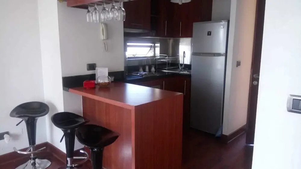 Departamento en Providencia - Barros Borgoño