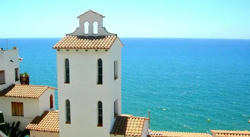 Gaviota Y Vora Mar