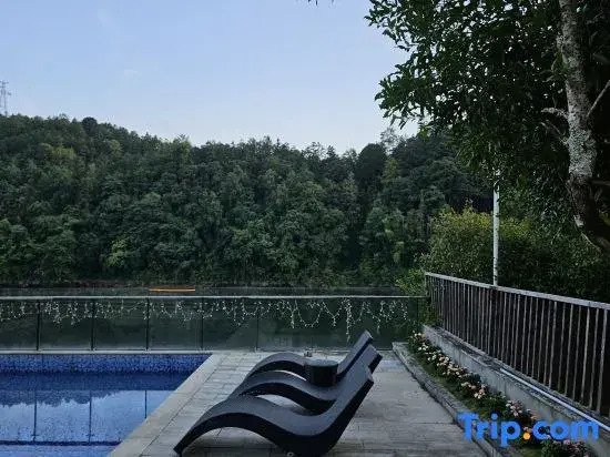 Tree Frog Resort Hotel