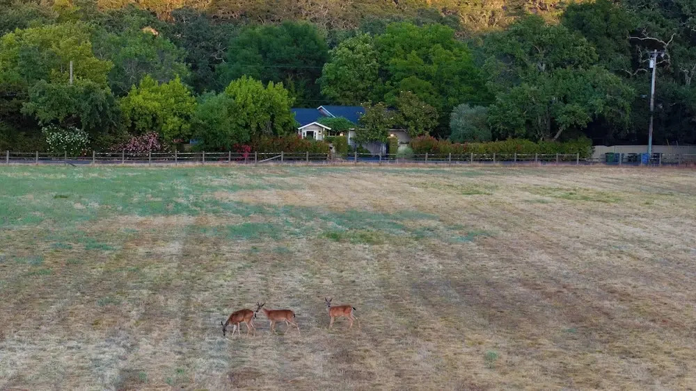 Glen Ellen Escape by Avantstay 5BR Retreat w/ Pool, Hot Tub, Hammocks & Vineyard Views