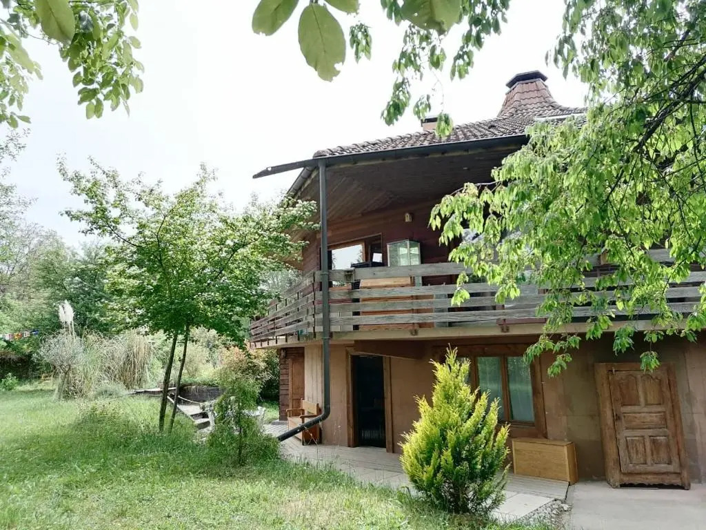 Alvéole du Léman - Appartement Le Nid du Chat Noir