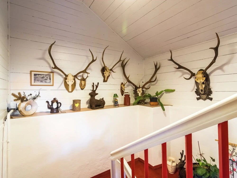 Serene Apartment in Fieberbrunn Tyrol near Ski Area
