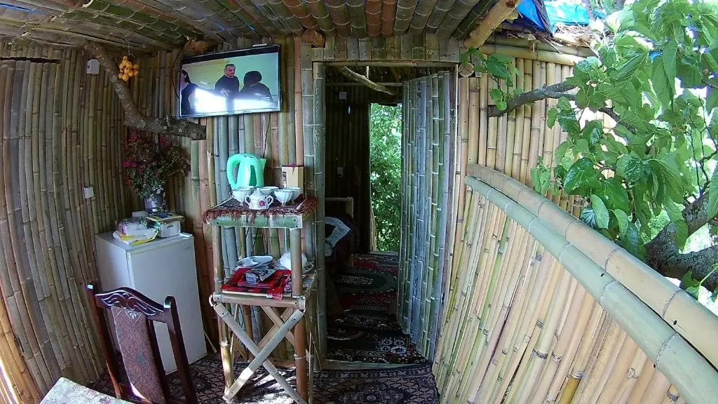 Eagle Nest