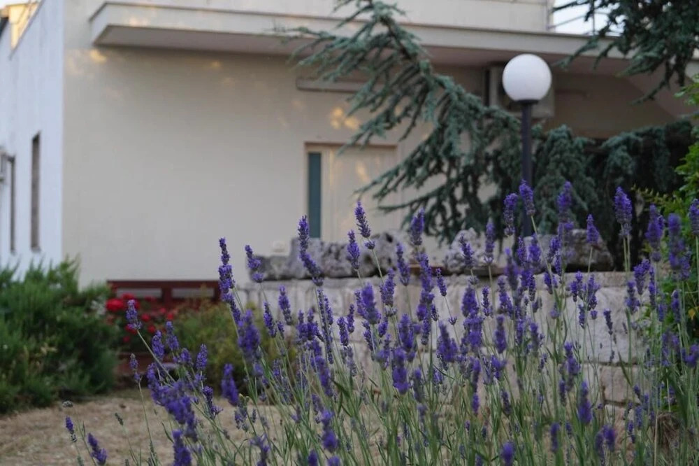 La Casa Del Nonno