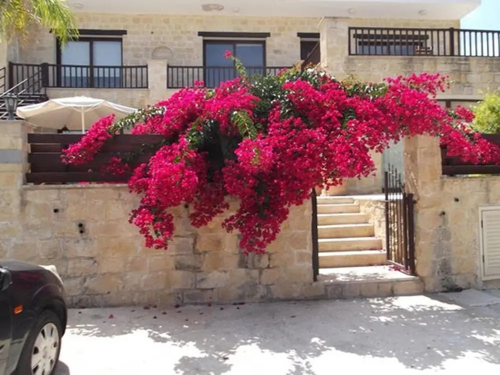 Idyllic 3 Bed Villa With Stunning Views