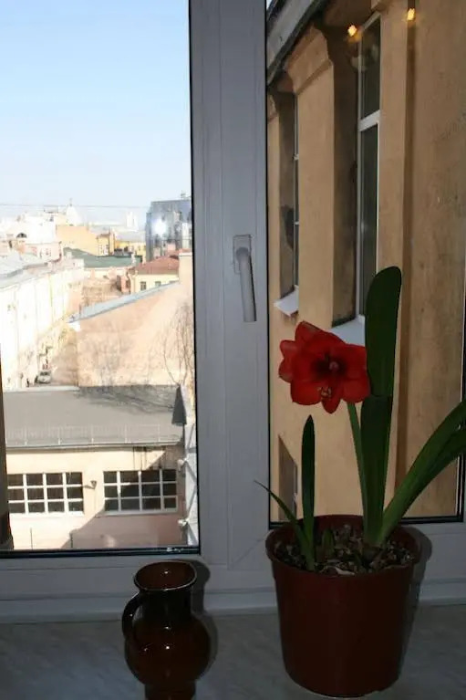 Apartments on Shpalernaya
