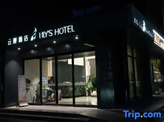 Lily’s Hotel
