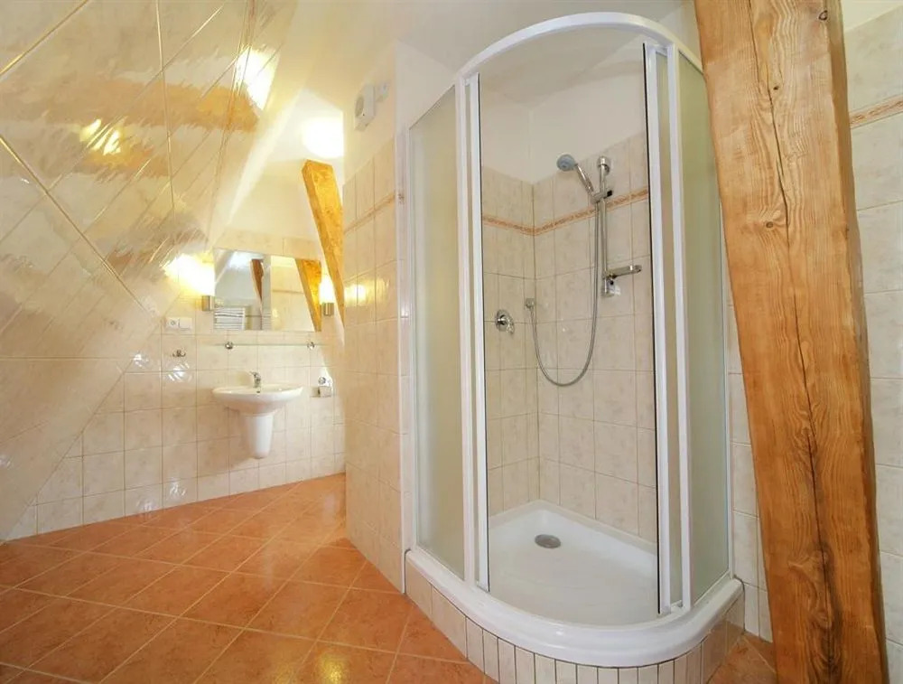 Hotel Stary Mlyn