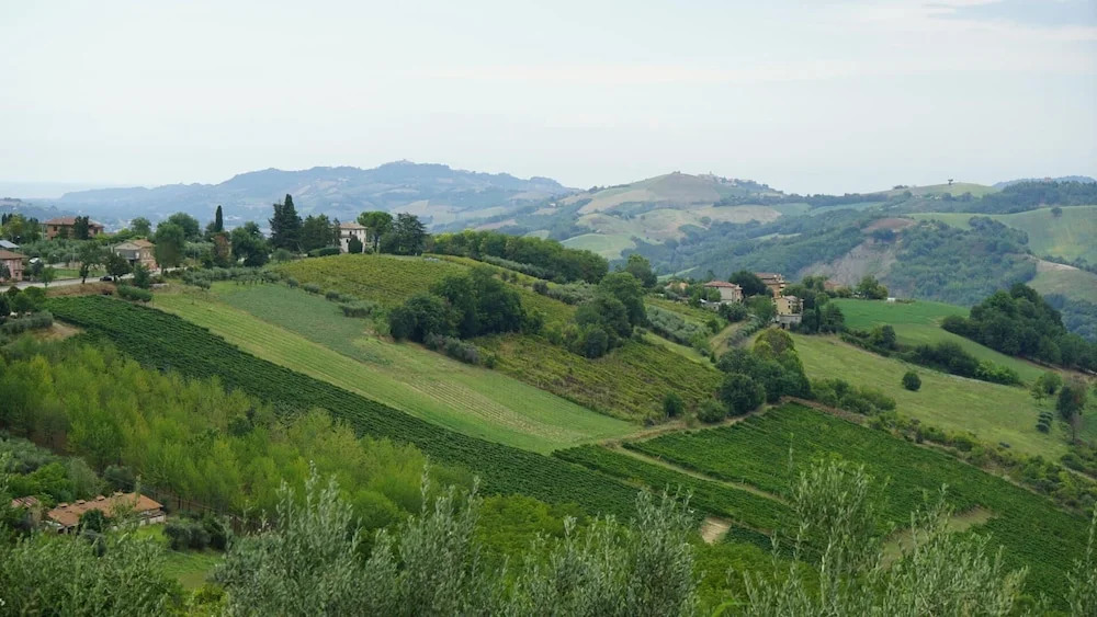 Glamping at an Agriturismo in the Vineyard