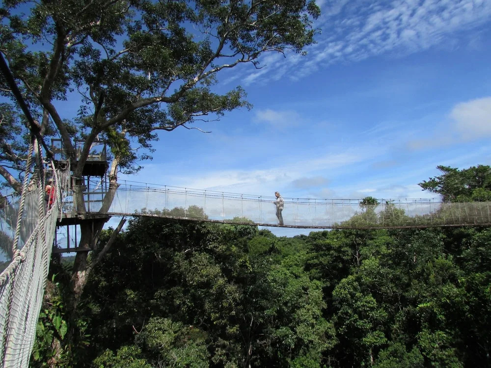 ExplorNapo Lodge