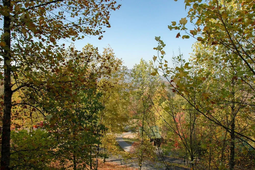 ON THE RIDGE - 3 Br Cabin