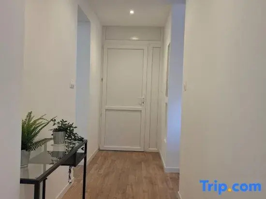 Large and quiet apartment next to the city center