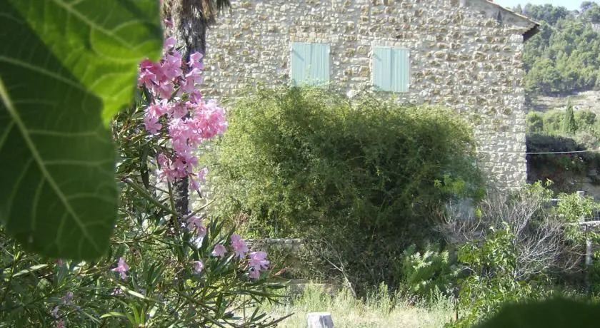 Côté Vignes