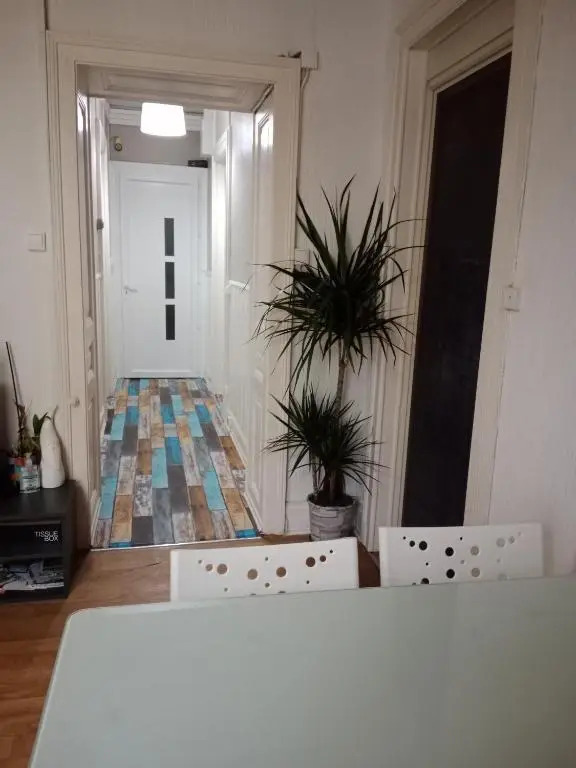 Pounette, appartement T3 centre / thermes Luxeuil