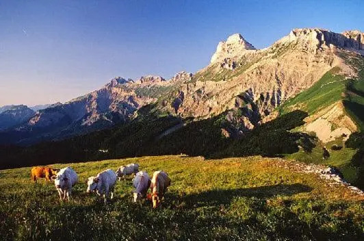 ANCOLIE 23 Les Chalets de Super D