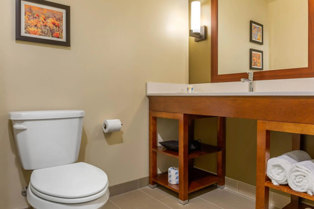 Comfort Inn & Suites Gap Amish Country