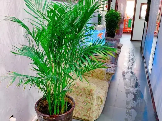Damei Apartment