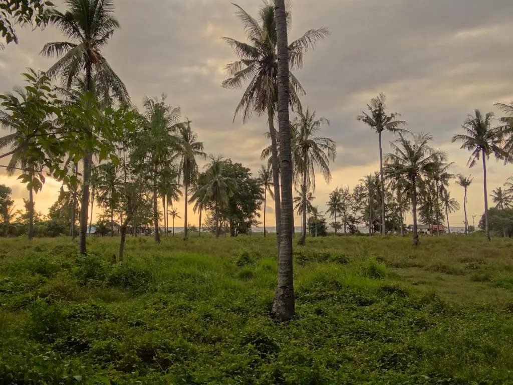 Atoll Haven Villas