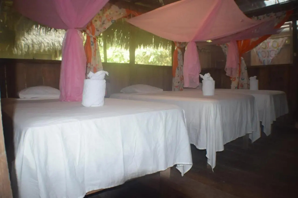Jungle Wolf Expeditions Lodge & Tours Iquitos
