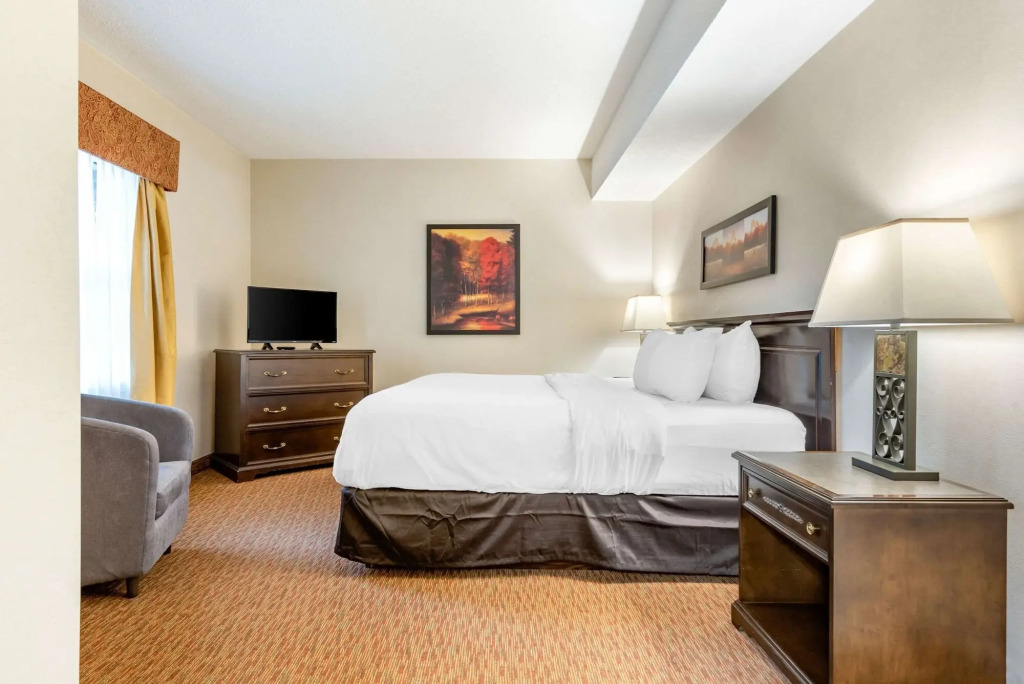 Village Inn & Suites
