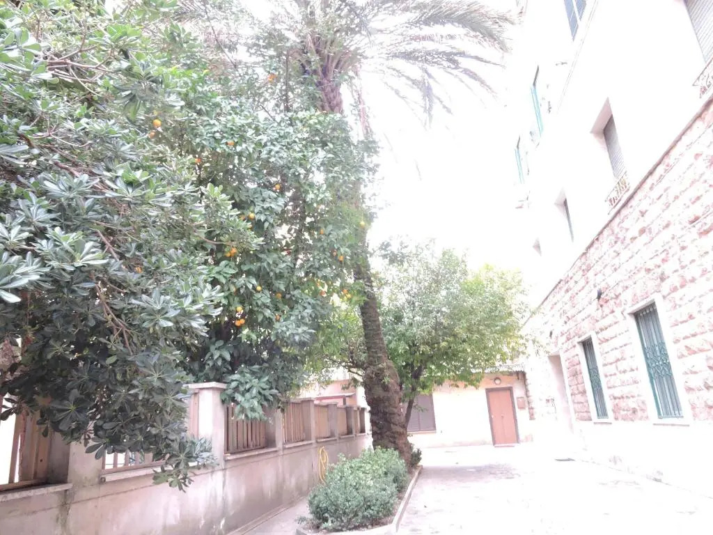Domus Angelica