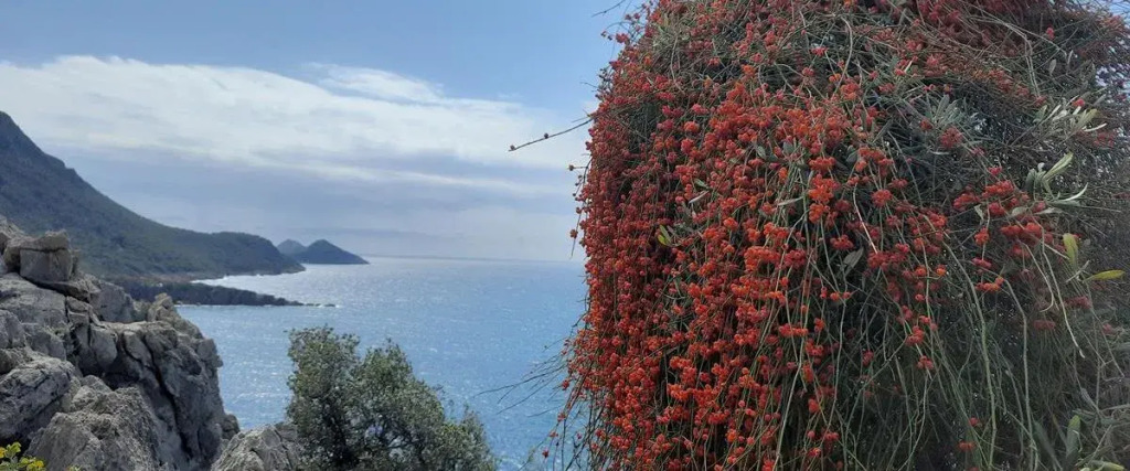 Gelidonia Holiday Home on the Lycian Way