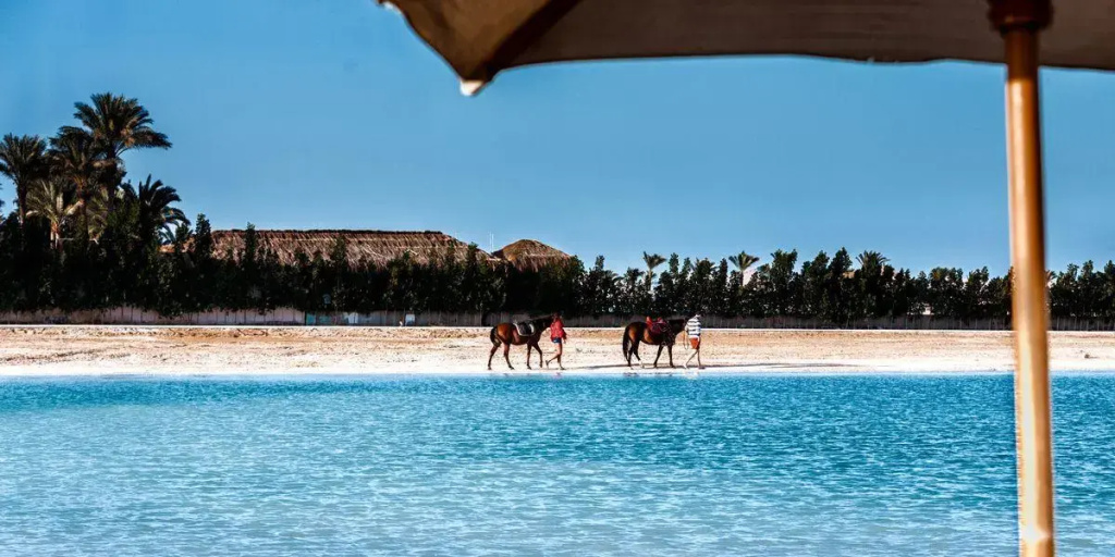 Gravity Hotel & Aqua Park Hurghada Families and Couples Only