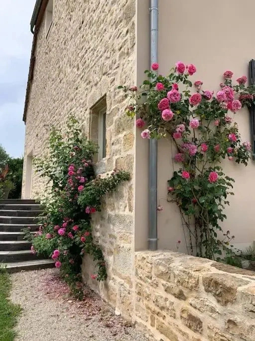 Gîte Fayl-Billot, 4 pièces, 6 personnes - FR-1-611-61