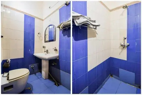 Hotel Vice Roy by OYO Rooms