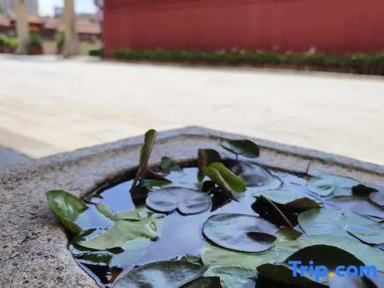 Yuebo Qicheng·Cultural Accommodation (Zhangzhou Gucheng Branch)