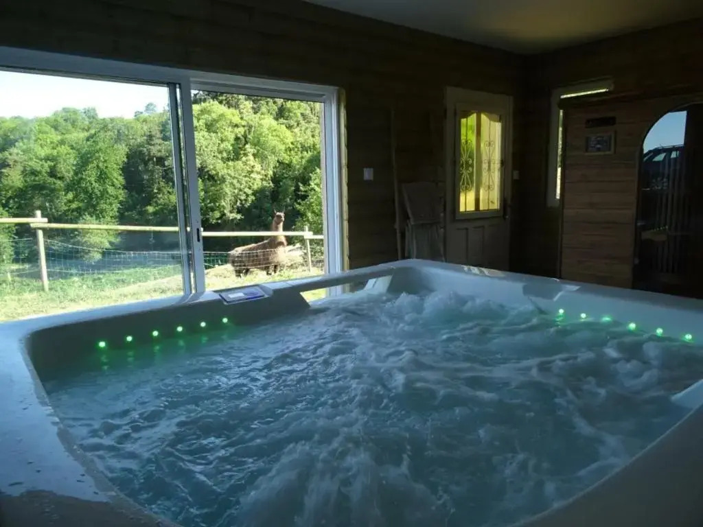 Gîte chaleureux avec spa et sauna, animaux admis - FR-1-496-23