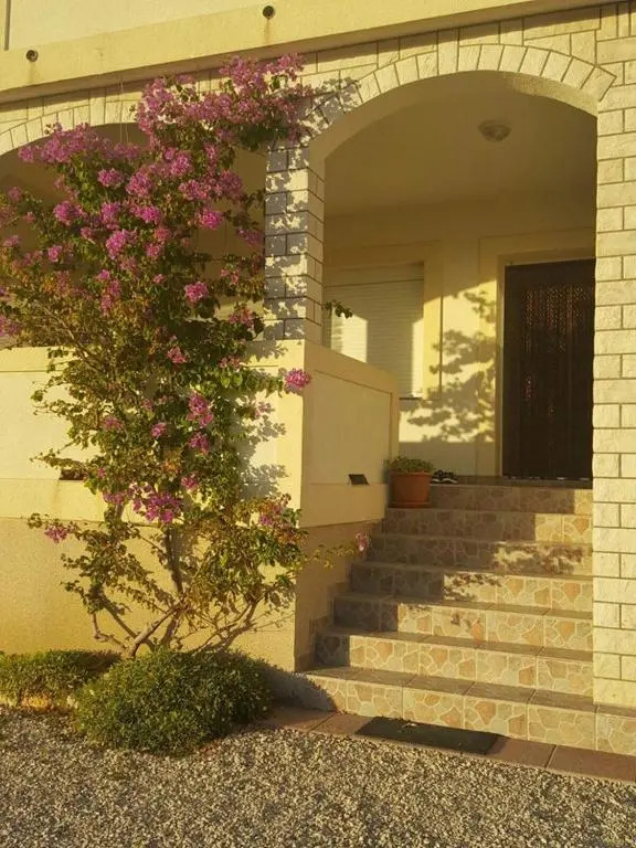 Apartmani Luka