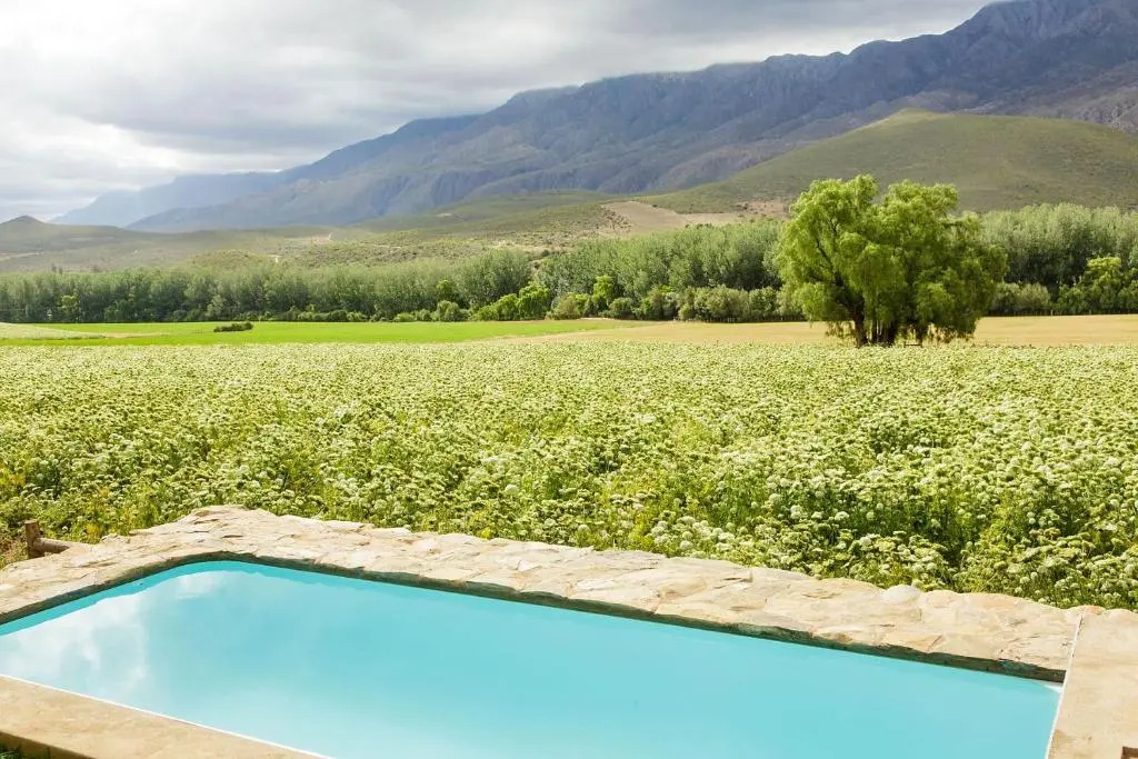 Blue Lily Retreat