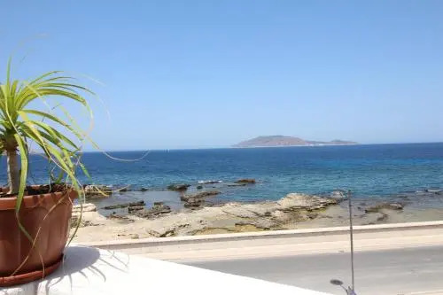 Ajamola