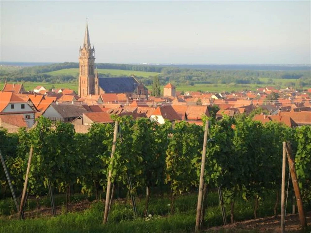 Apartment With 3 Bedrooms in Dambach-la-ville, With Enclosed Garden and Wifi