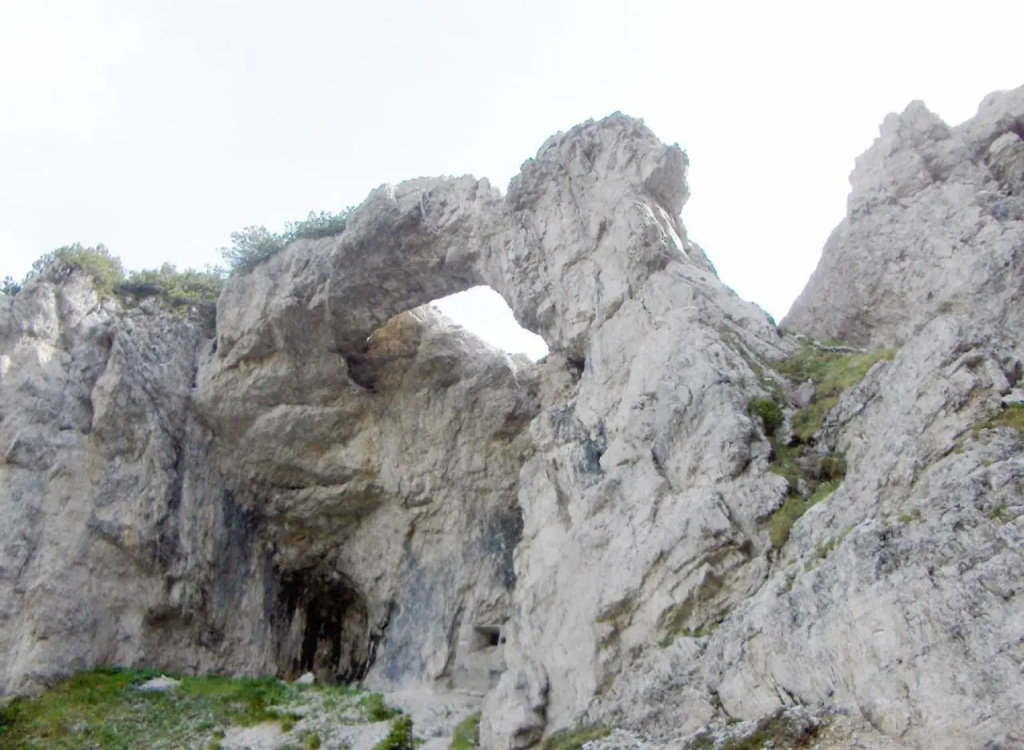 Kratter Alpenplick