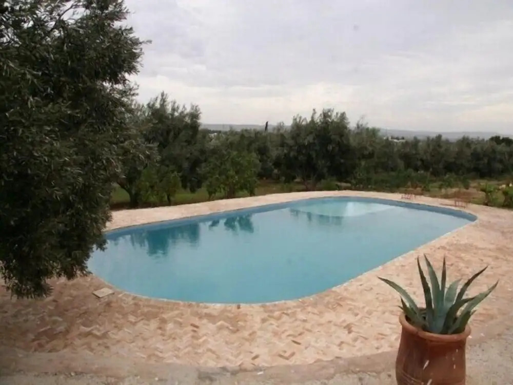 Riad Douar Des Oliviers