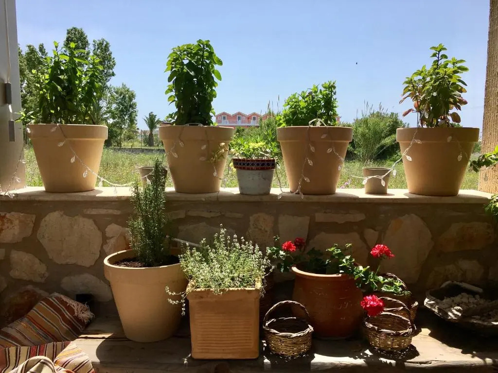 Garden Village Exclusive Suite
