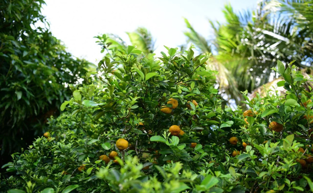 Stayhill Resort