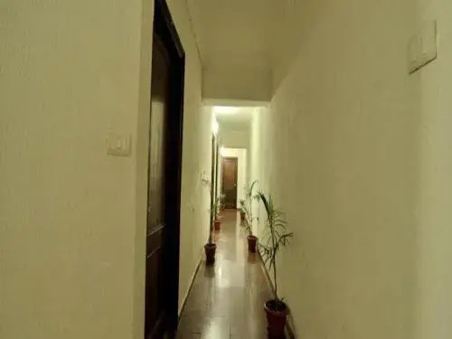 ZO Haryana Sector 17 Market