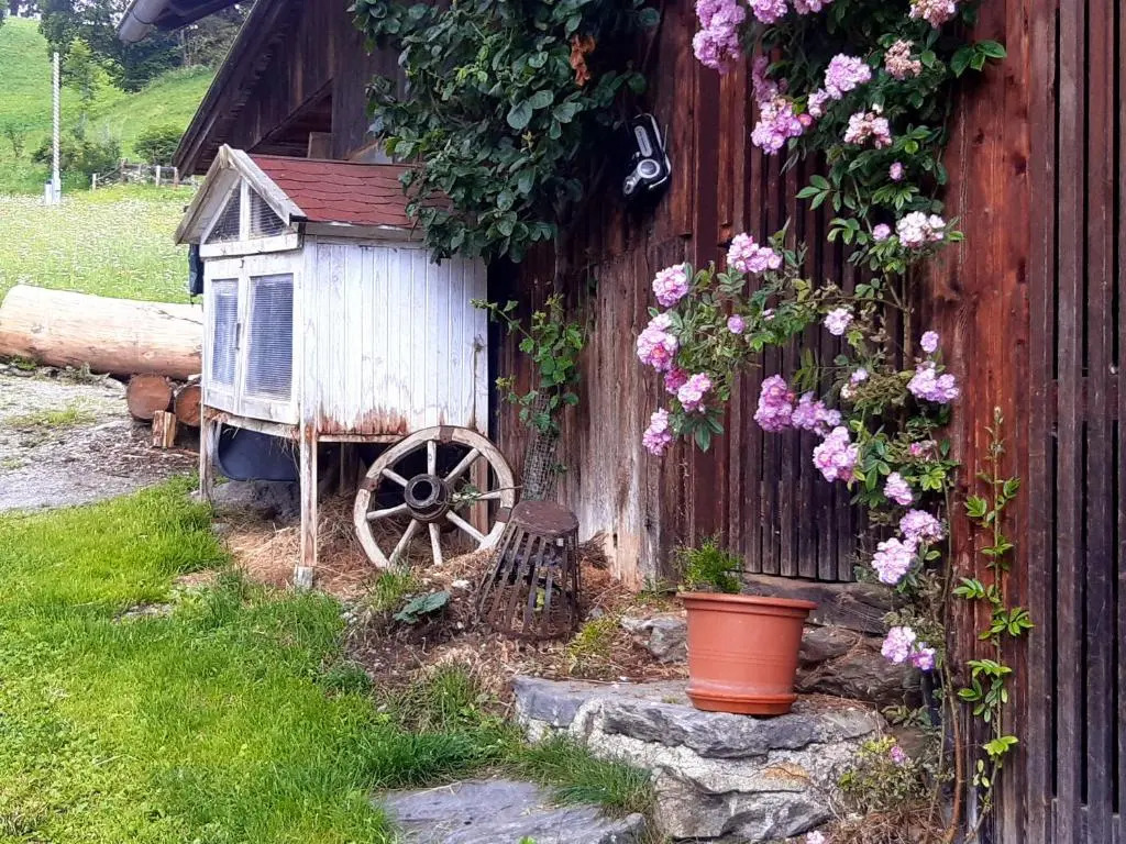 Bed & Breakfast Dolomiti Bey Haus Pinter