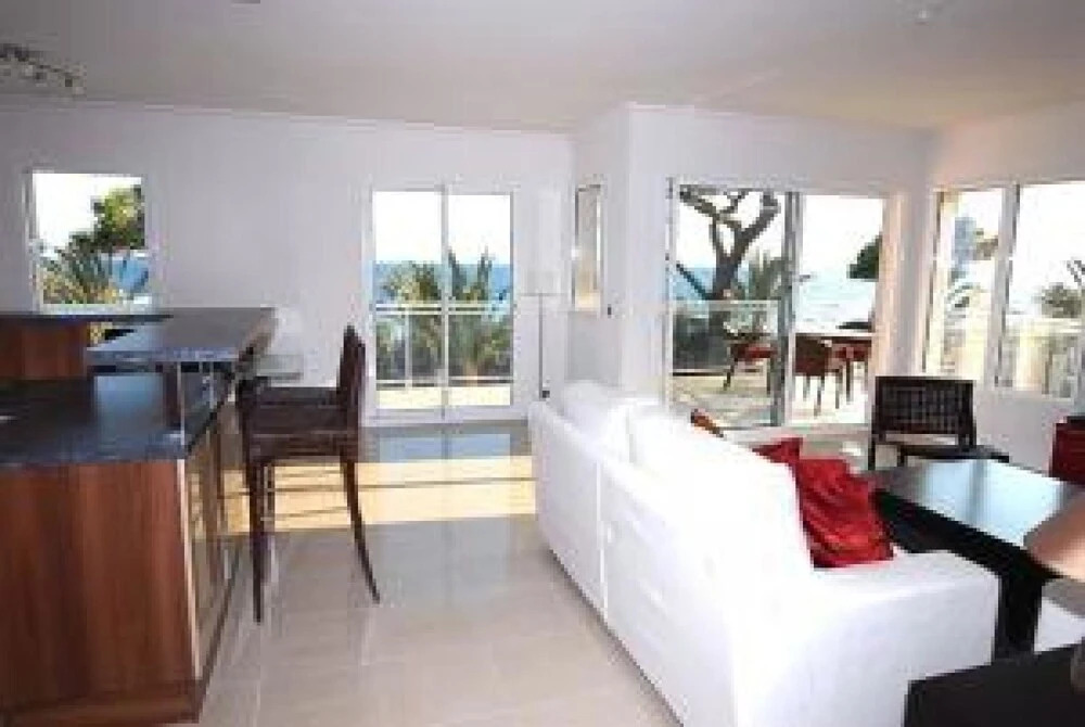 Royal Palm 217