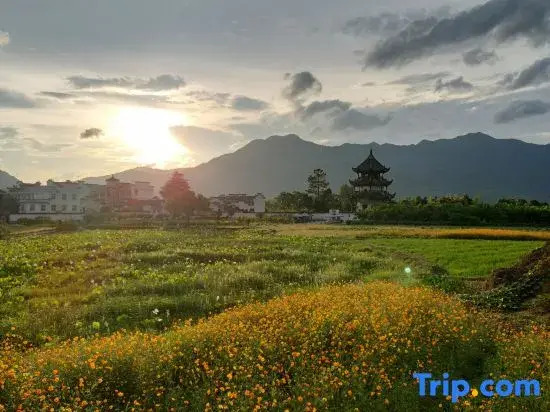 Jing Taoyuanju Homestay (Taohua Tan Scenic Area)