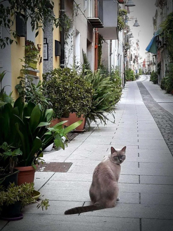Via San Giacomo 10