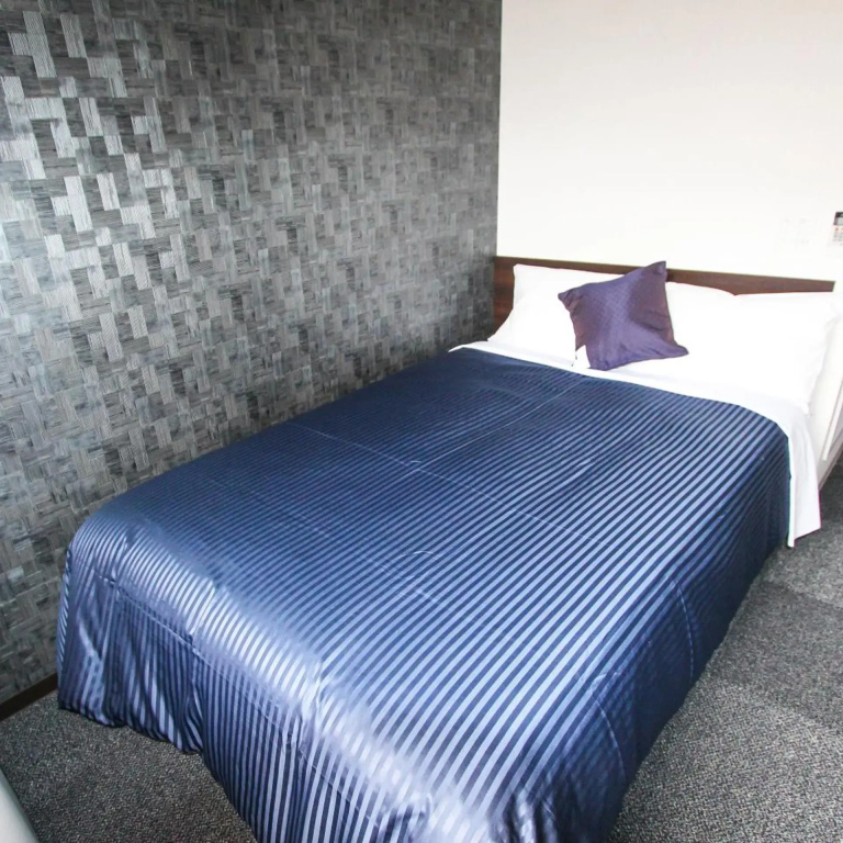 HOTEL LiVEMAX PREMIUM Himejieki-Minami
