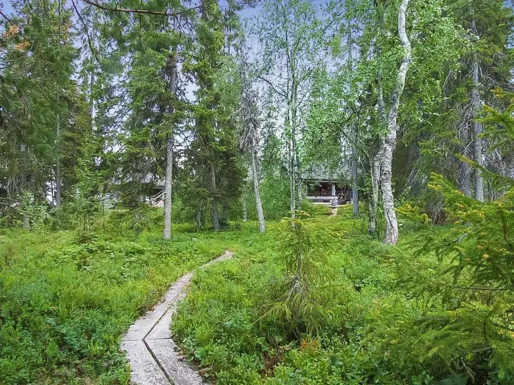 Seitsem n Savua 6 Kuusamo