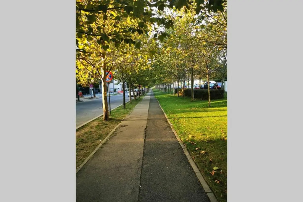 Herăstrău, Băneasa8