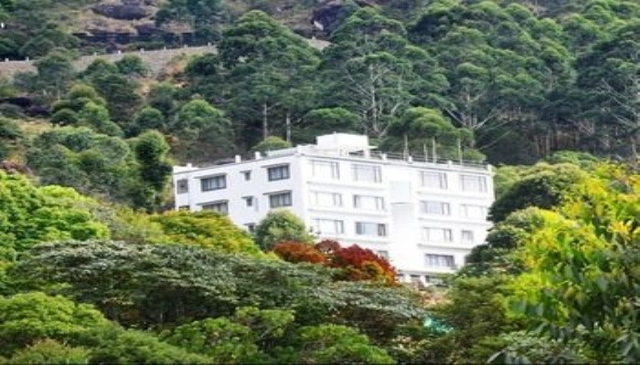 Tea Mount Suites