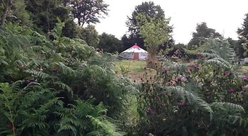 Forgetmenot Yurt